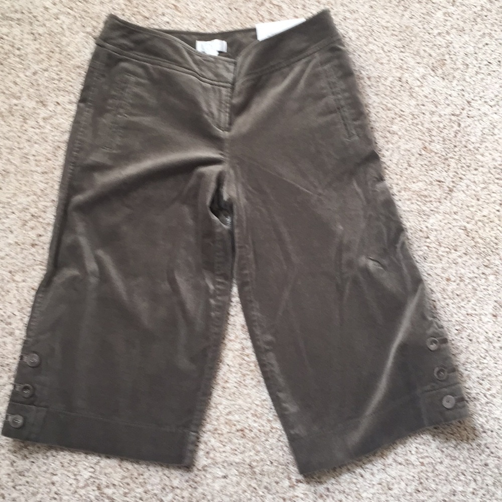 LOFT Cropped Pants Size 2